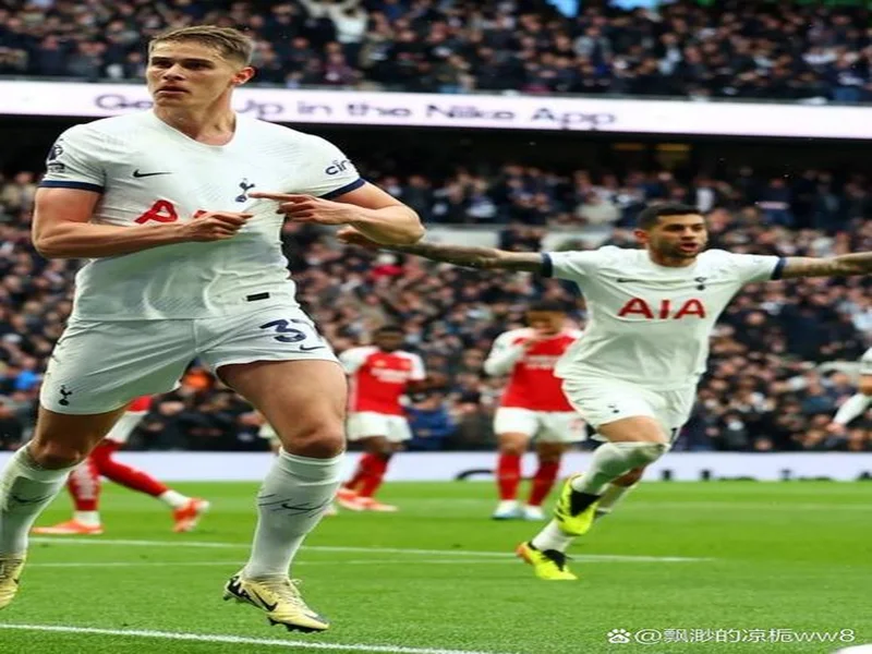 本场送助攻,范德芬当选热刺1-1桑德兰球迷票选全场最佳